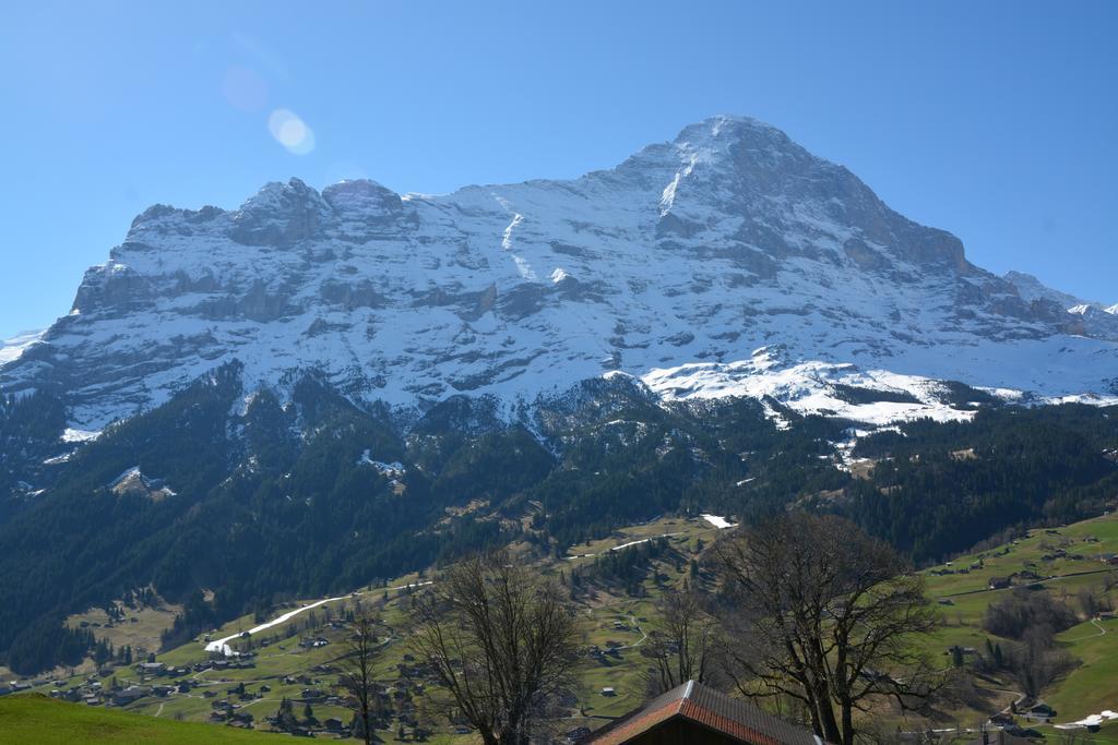 Ferienwohnung Chalet Schneerose - GRIWA RENT AG Grindelwald Exterior foto