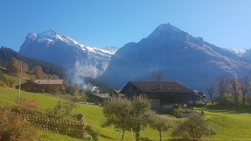 Ferienwohnung Chalet Schneerose - GRIWA RENT AG Grindelwald Exterior foto